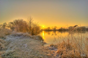 Winter am Baggersee