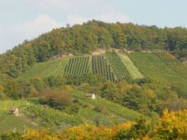 Weinberge