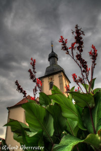 Bild von Oberreuter Roland